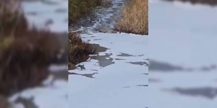 İzmir’deki incelemelerde sanayi kaynaklı kirlilik belirlendi