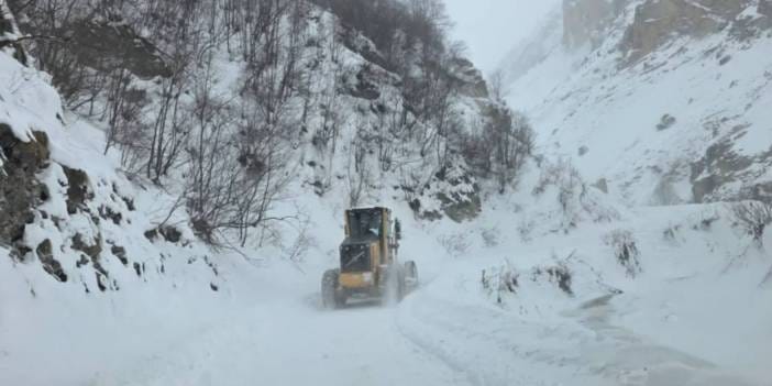 Son dakika | Artvin'de çığ düştü! 3 çoban mahsur kaldı