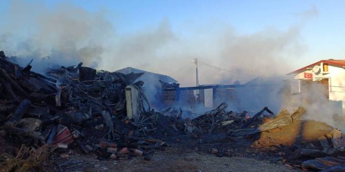 Samsun'da gece yarısı yangın: 2 ev kül oldu