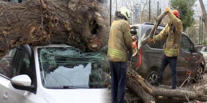 Lodos İstanbul'u esir aldı! Bir saniyeyle ölümden kurtuldu