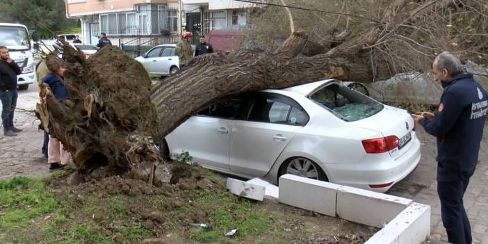MGM uyardı rüzgar çok sert vuracak! Çatılar uçacak ağaçlar devrilecek