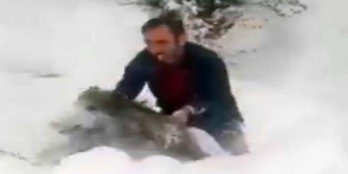 Önüne çıkan yaban domuzunu eliyle yakalamıştı: Dünyada gündem olan sürücü ilk kez konuştu