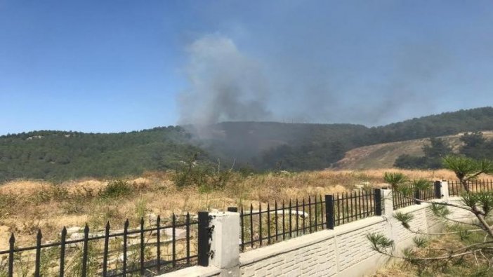 Çanakkale'de orman yangını