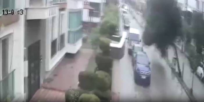 Fırtına ağacı kökünden böyle söktü...