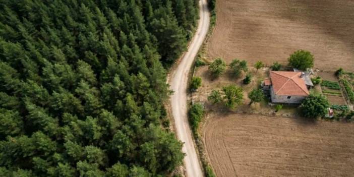 Ormandan çevrilen araziler için ödeme süresi uzatılıyor