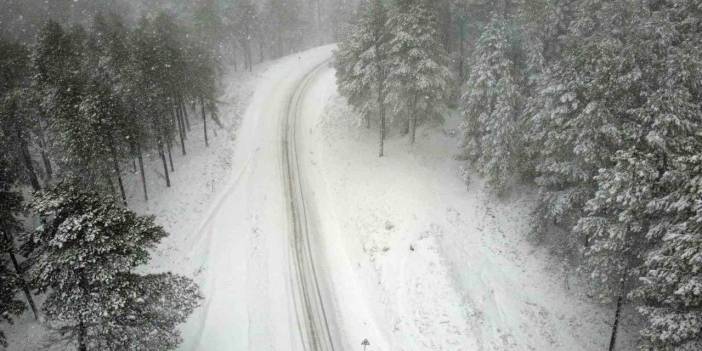 Kazdağları'nda 4 kişi mahsur kaldı: Ekipler seferber oldu