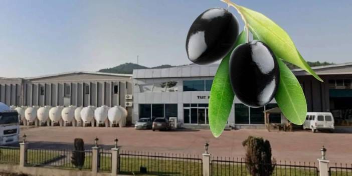 Türkiye'nin ünlü zeytin markası iflas bayrağını çekti