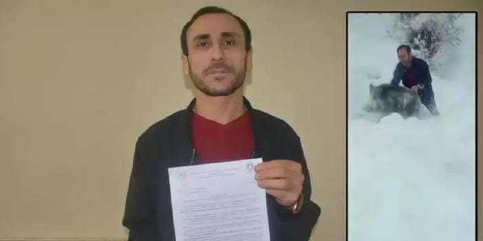 Çıplak elle domuz yakalayan Sinoplu'ya 15 bin lira ceza