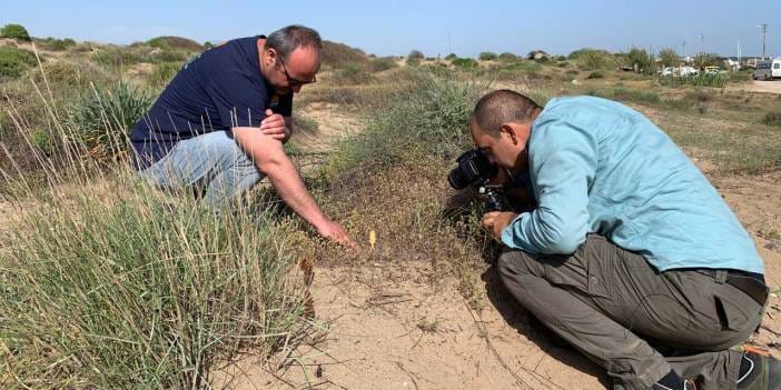 Görürseniz polisi arayın: Koparmanın bedeli 699 bin 245 TL!