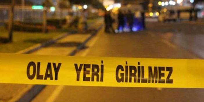 Elazığ'da park halindeki TIR'a çarpan araçtaki çift hayatını kaybetti