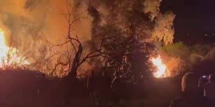 Antalya'da orman yangını! Alevler yerleşim yerine ulaştı: Bazı evler tahliye edildi