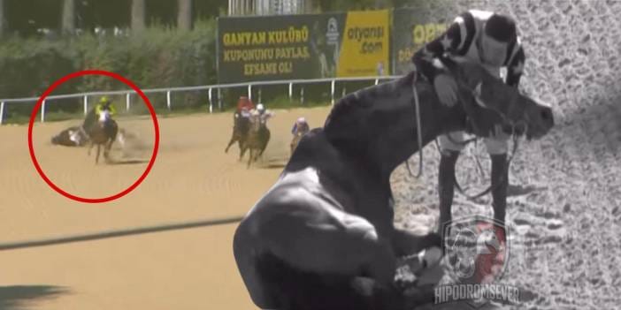 Kahraman jokey kendini düşünmedi: Şoka giren atını böyle ayağa kaldırdı