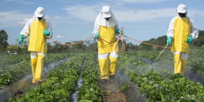 Pestisit krizinde reçete dönemi! Satana para cezası geliyor