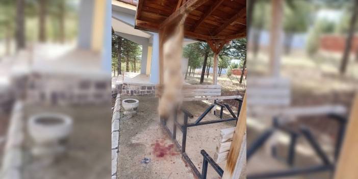 Bolvadin'de bir köpek işkence yapılarak öldürüldü