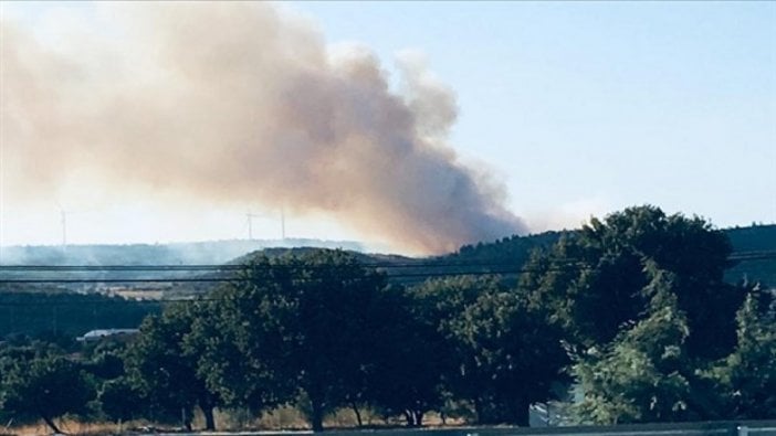 Urla'da orman yangını