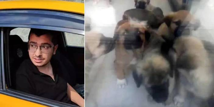 Köpekleri istismar eden doktorun cezası istinafta bozuldu