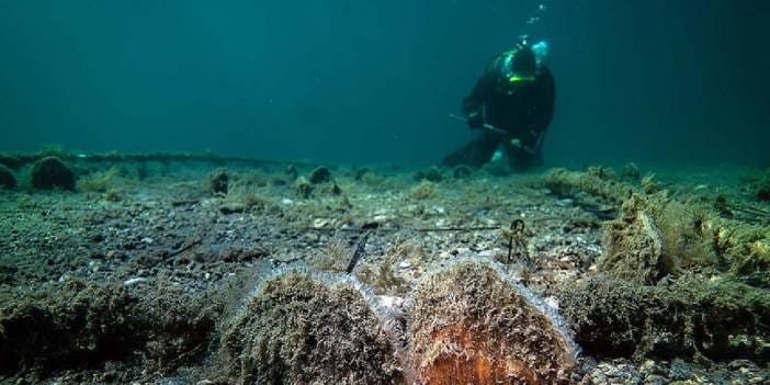 Marmara Denizi'nde pinna nobilis çıktı