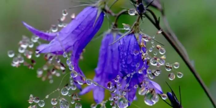 2026 cemre düşme tarihleri: İlk cemre ne zaman düşecek?