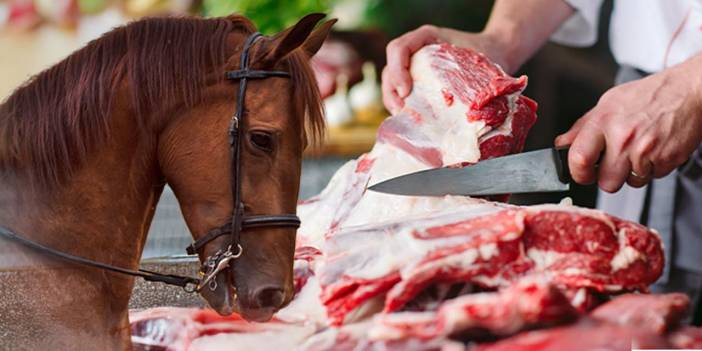 Bakanlık listesinden yine aynı isim çıktı: Sucuk yerine at ve eşek eti yedirmişler