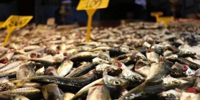 Kilosu 100 liradan kapış kapış satılıyor: Yoğun rağbet var