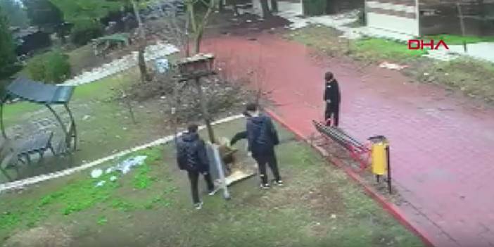 Parkta düşürdükleri kuş yuvasını parçaladılar