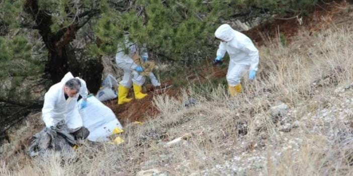 Yaşlı adamın başsız cesedi parçalanmış halde bulundu