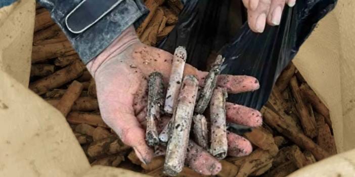 Sahilde bir anda ortaya çıktı görenler kapış kapış topladı: Japonya'da servet bu