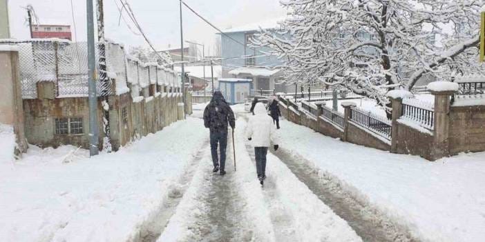 Van'da eğitime kar engeli