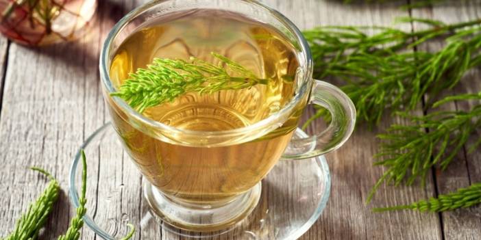 Böbrek taşına bitkisel destek: Uzmanlar açıkladı