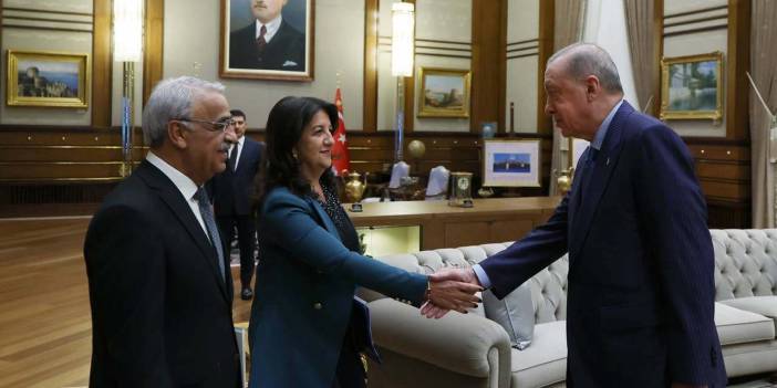 DEM Parti İmralı heyetinden Erdoğan'a ziyaret