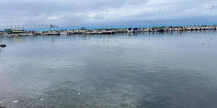 5 yaşındaki çocuğun ölümünde anneden kan donduran itiraf: Ölmek istiyorum dedi denize ittim