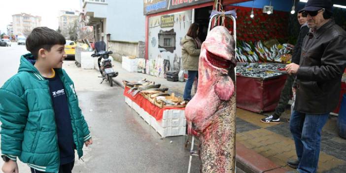 102 kiloluk dev balığı yakaladılar: Kilosu 500 liradan satılıyor