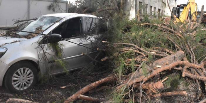İzmir’de kuvvetli rüzgar! Ağaç otomobilin üzerine devrildi