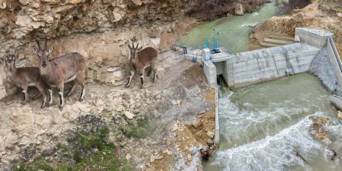 Mahkeme yüzde 90’ı tamamlanan HES projesini iptal etti! Bilirkişi raporu tahribatı gözler önüne serdi