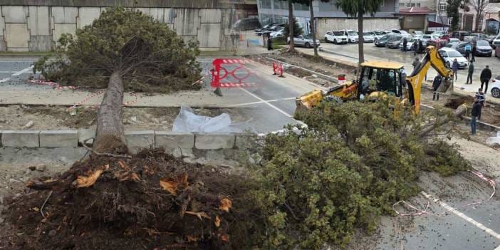 Rize’de fırtına ortalığı birbirine kattı! Devrilen araçlar yolu kapattı