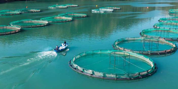 Denizi olmayan ilde yetiştirilen balıklara yurt içi ve yurt dışından talep yağıyor