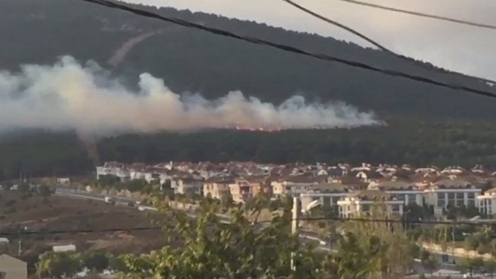 Orman yangınıyla ilgili gözaltına alınan şahıs tutuklama talebiyle mahkemeye sevk edildi