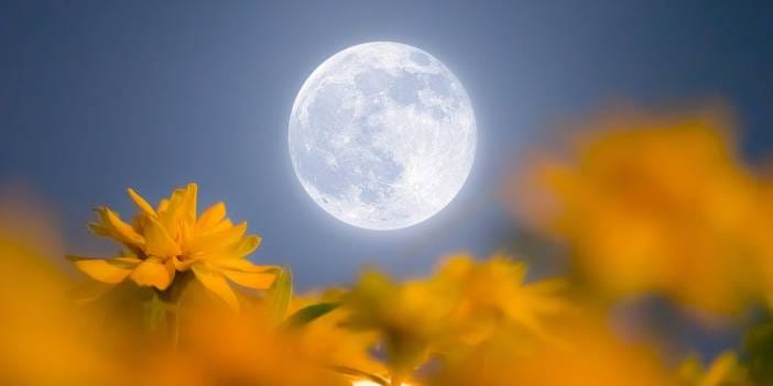 Dolunay'da trafik kazaları gerçekten artıyor mu?!