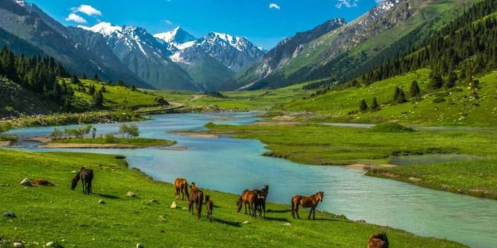 Doğa tutkunlarının yeni gözdesi belli oldu