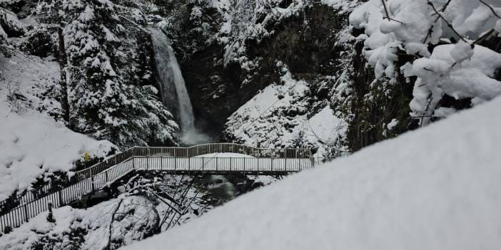 Doğu Karadeniz beyaza büründü: Köy yolları kapandı