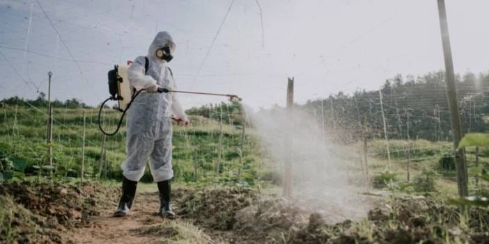 Toprak da ölüyormuş: Zehirleye zehirleye yüzde 70'i gitti biz de zehirleniyoruz