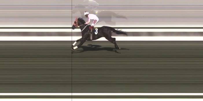 Kuşbaşı yapılan yarış atı 50 bin liraya satılmış! Kavurma yapılan bir tek o değilmiş... Latch'ın başına gelenler ortaya çıktı