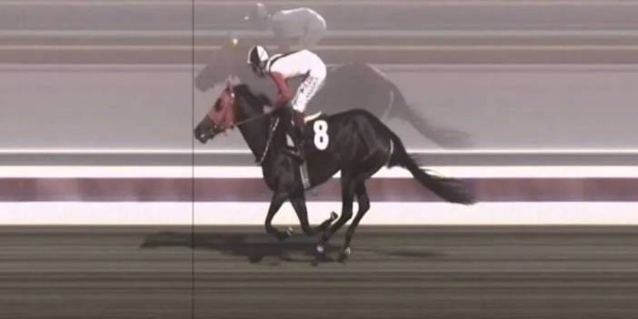 Kavurma olan İngiliz yarış atı İngiltere basınında manşet oldu!