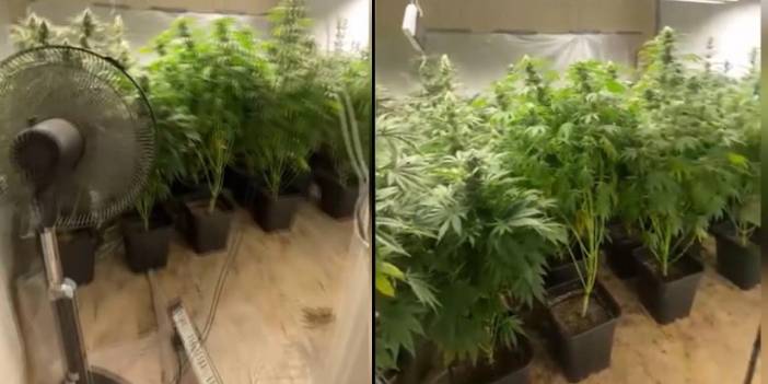 Uyuşturucu baskınında ortaya çıktı: Evde kurulan sistem şaşırttı