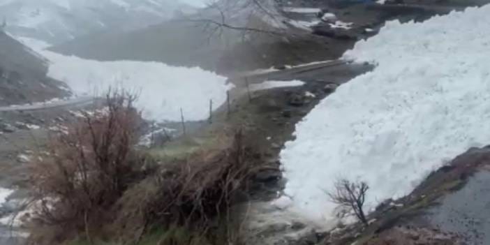 Hakkari'de köye çığ düşme anı kamerada