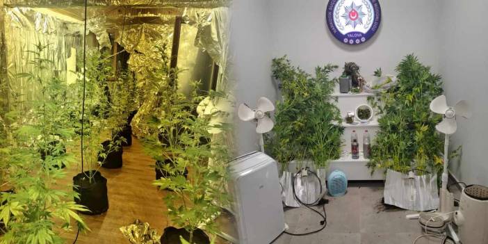 7 suçtan aranan firari hükümlü evinde uyuşturucu serası kurmuş!