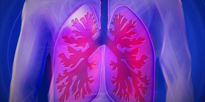 48 saat akciğerleri olmadan yaşadı, hayatta kaldı