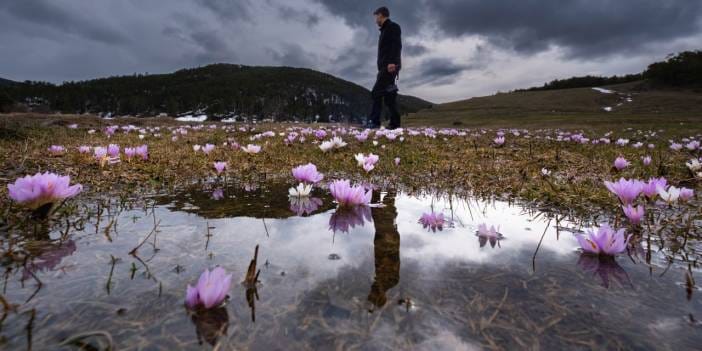 Gören hayran kalıyor: Renkler her yeri sarmış
