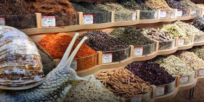 Aktar tezgahlarından sümüklü böcek çıktı! Toz baharatın içine gizleyip vatandaşa yedirdiler