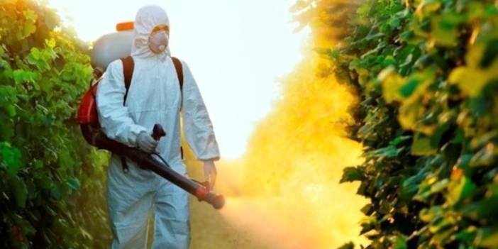 Yüzde 96’sında pestisit tespit edildi! Musluk suyu bile riskli bulundu